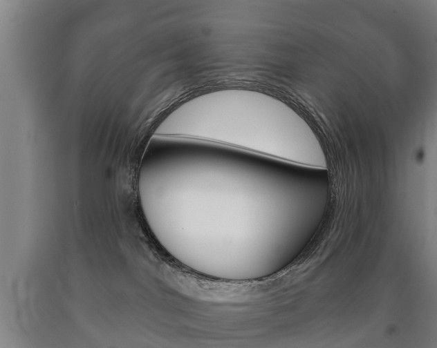 X0000090910044200707301042