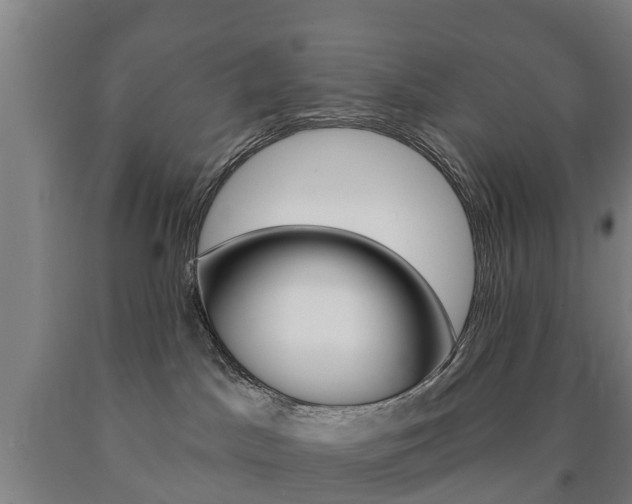 X0000090910045200707301042