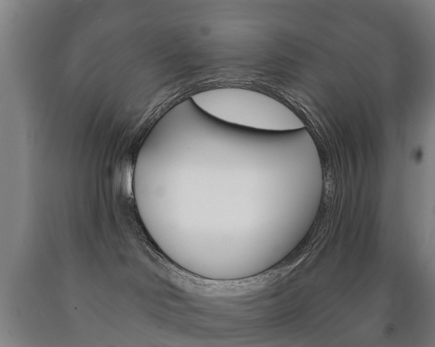 X0000090910046200707301042