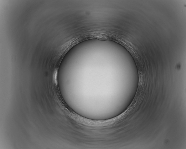 X0000090910047200707301042