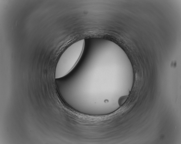 X0000090910048200707301042