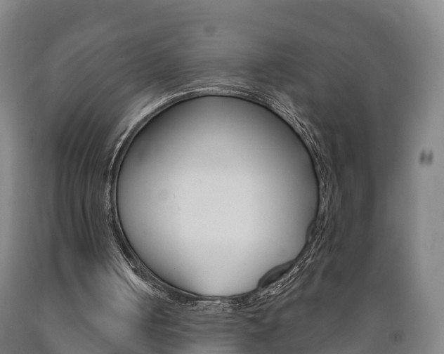 X0000090910050200707301041