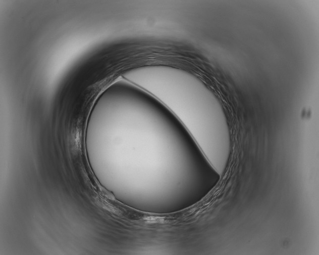 X0000090910052200707301041