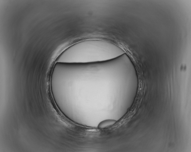 X0000090910053200707301041