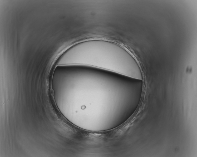 X0000090910055200707301041