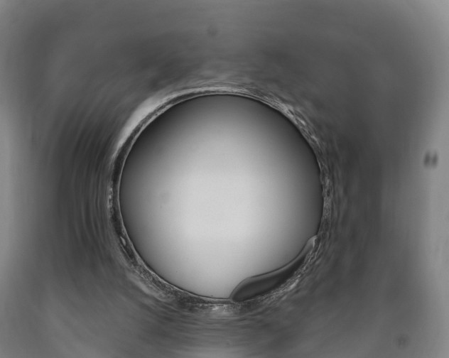 X0000090910056200707301041