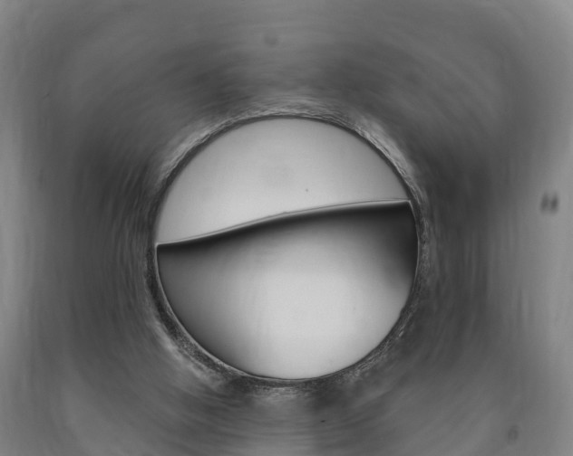 X0000090910058200707301041