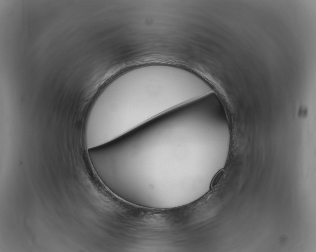 X0000090910062200707301041