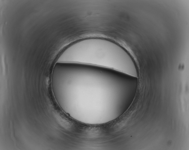 X0000090910063200707301041
