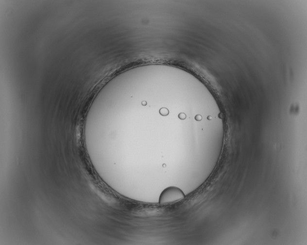 X0000090910065200707301041