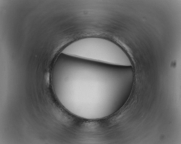 X0000090910067200707301042