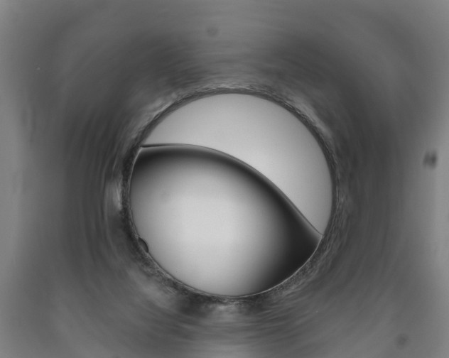 X0000090910068200707301042