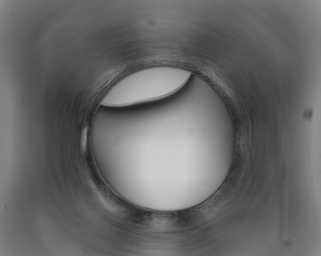 X0000090910070200707301042