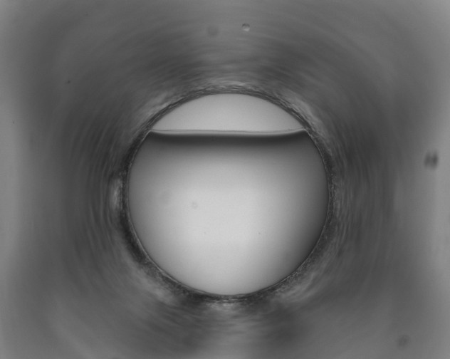 X0000090910071200707301042