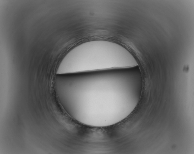 X0000090910073200707301042