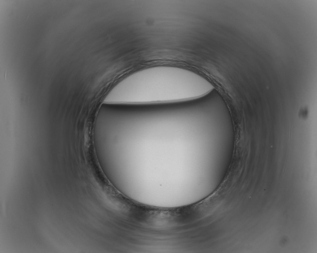X0000090910074200707301042
