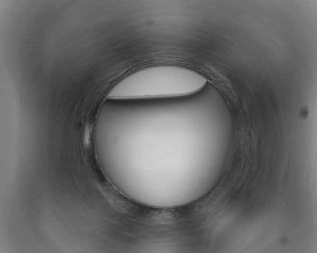 X0000090910075200707301042