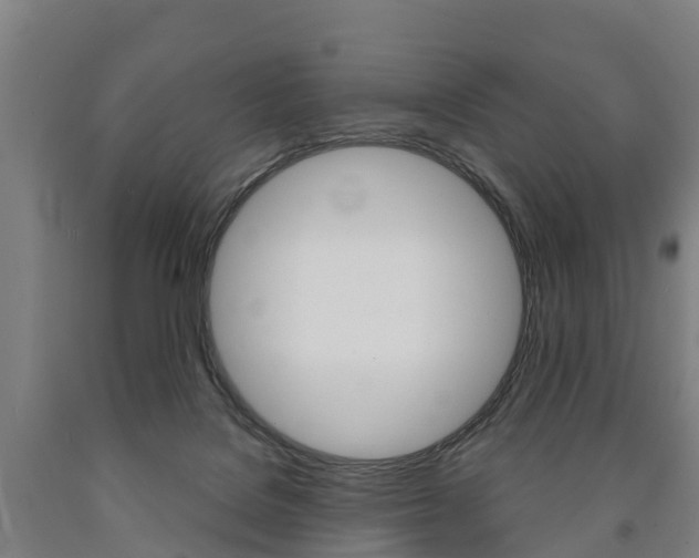 X0000090910076200707301042
