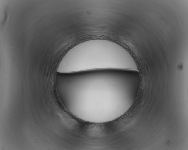X0000090910077200707301042