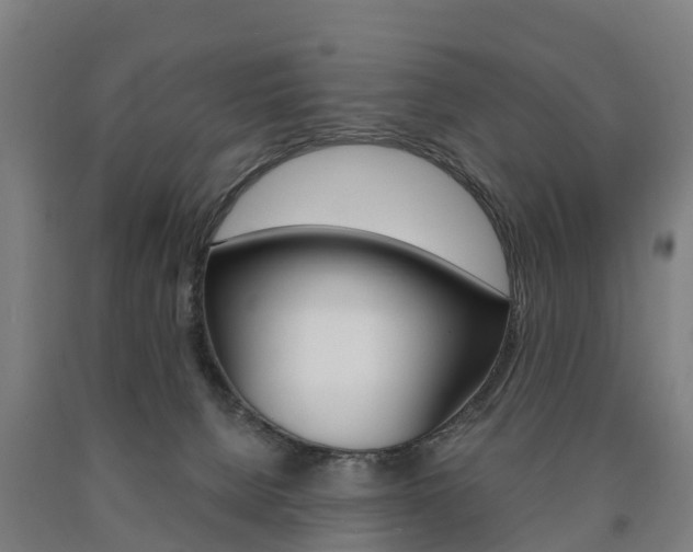 X0000090910080200707301042