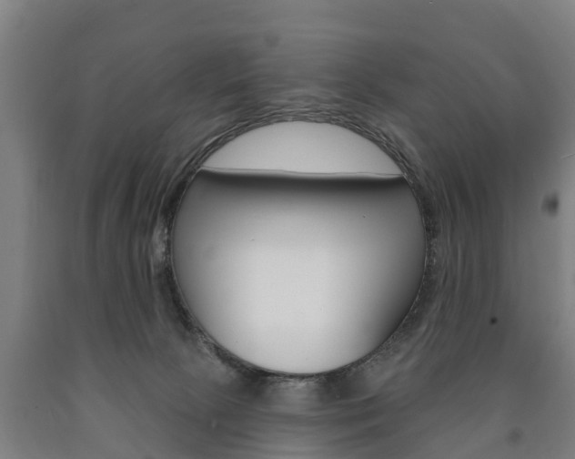 X0000090910081200707301042