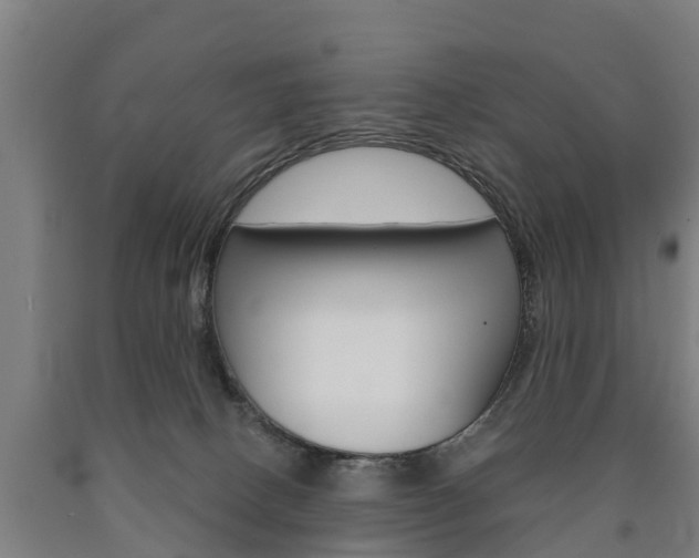 X0000090910082200707301042