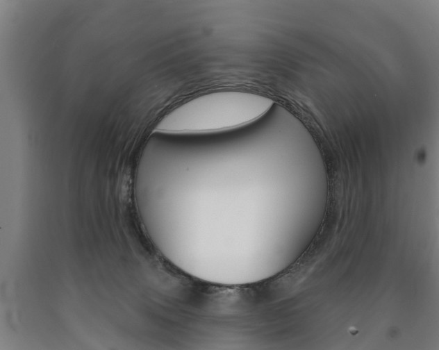 X0000090910083200707301042