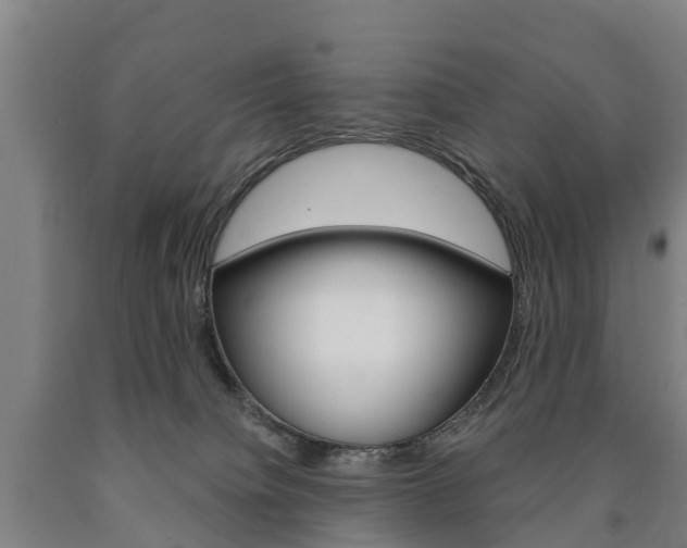 X0000090910084200707301042