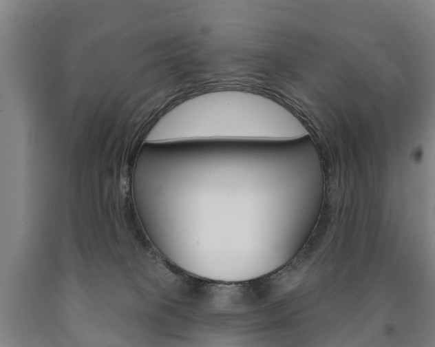 X0000090910085200707301042