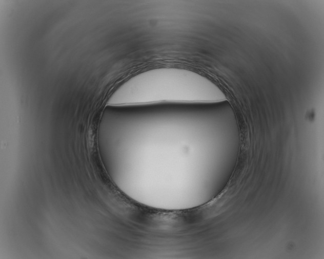 X0000090910086200707301042