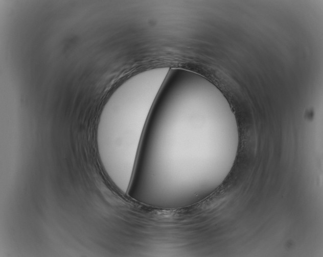 X0000090910088200707301042