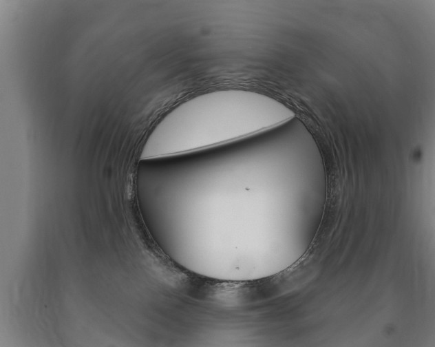 X0000090910090200707301042