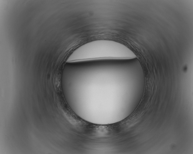 X0000090910091200707301042