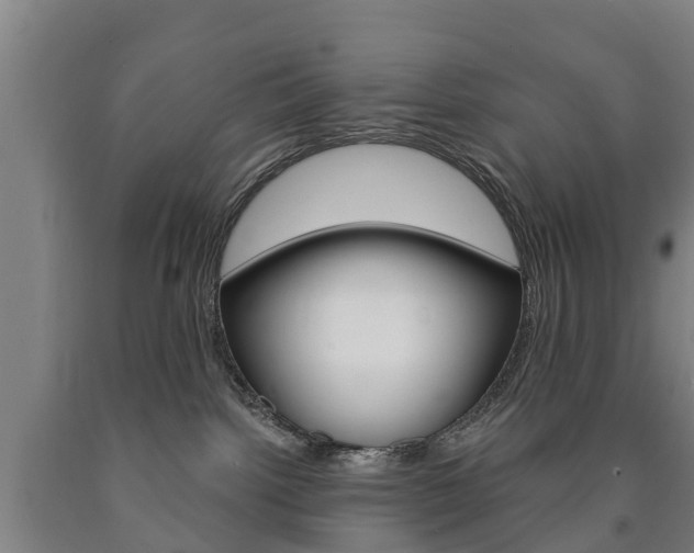 X0000090910092200707301042