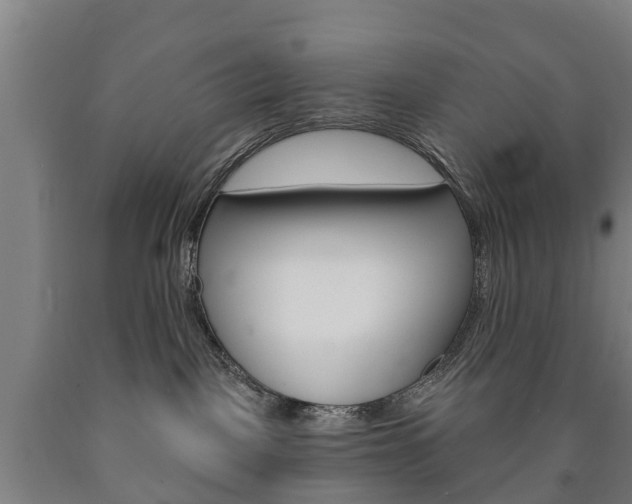 X0000090910093200707301042