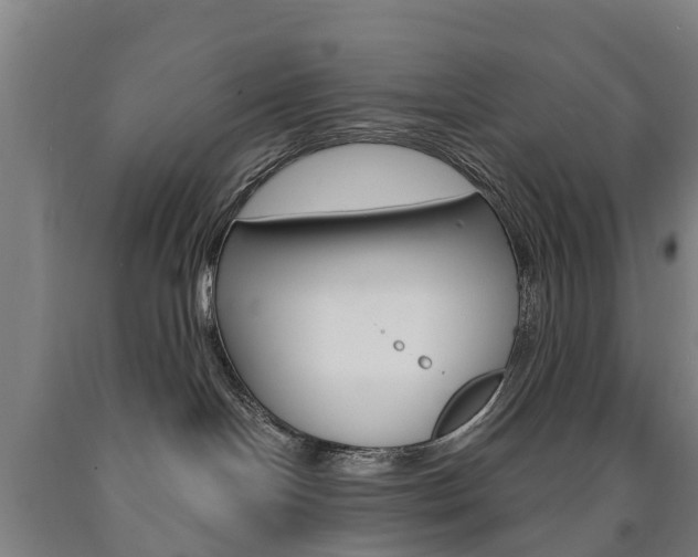 X0000090910094200707301042