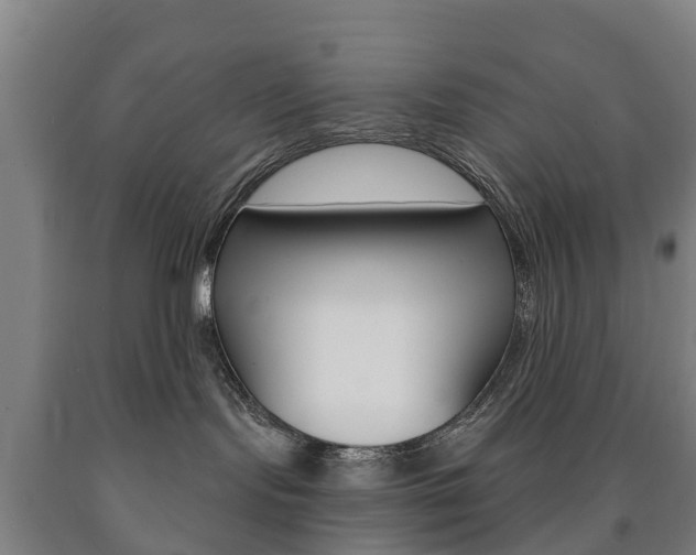 X0000090910095200707301042