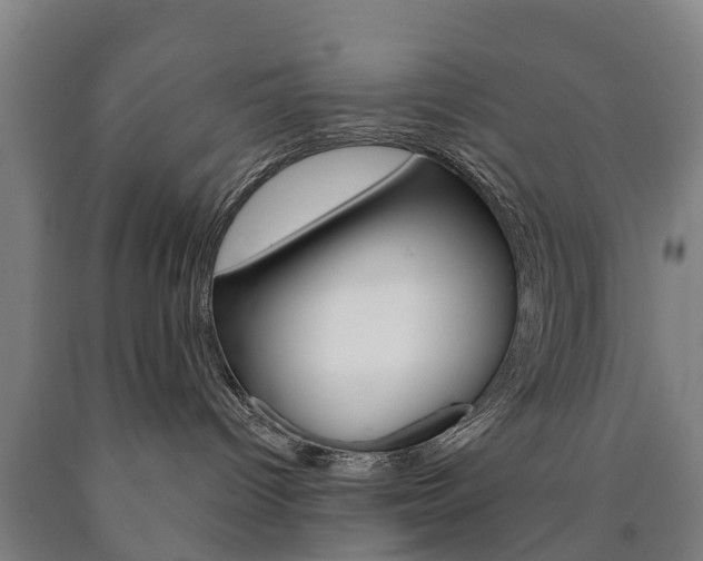 X0000090910096200707301042