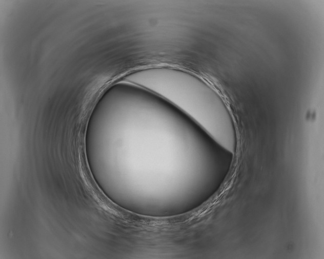X0000090910097200707301041