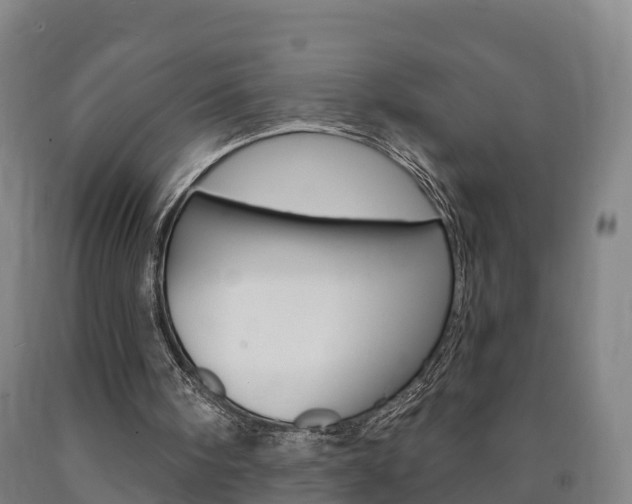 X0000090910098200707301041