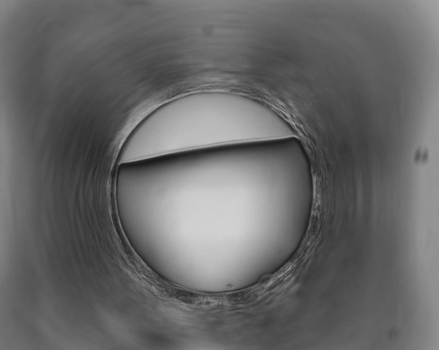 X0000090910099200707301041