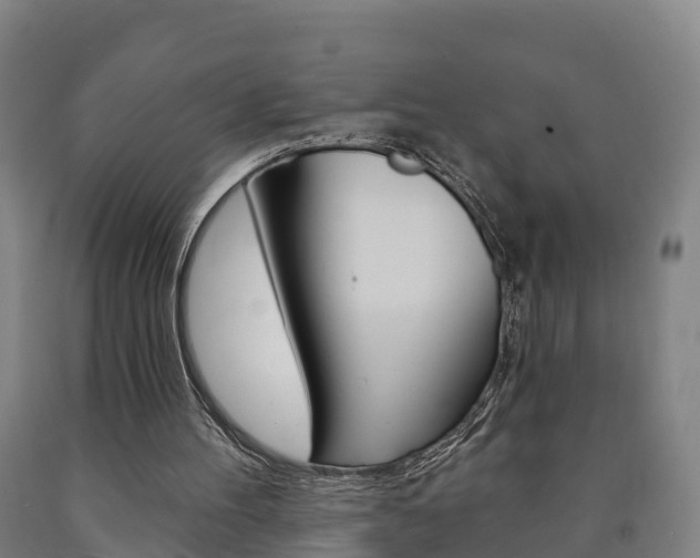 X0000090910100200707301041