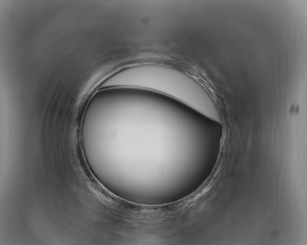 X0000090910101200707301041