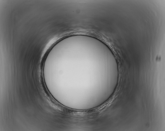 X0000090910102200707301041