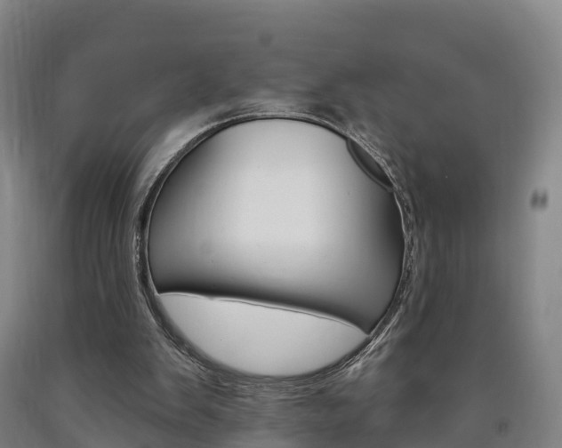 X0000090910103200707301041