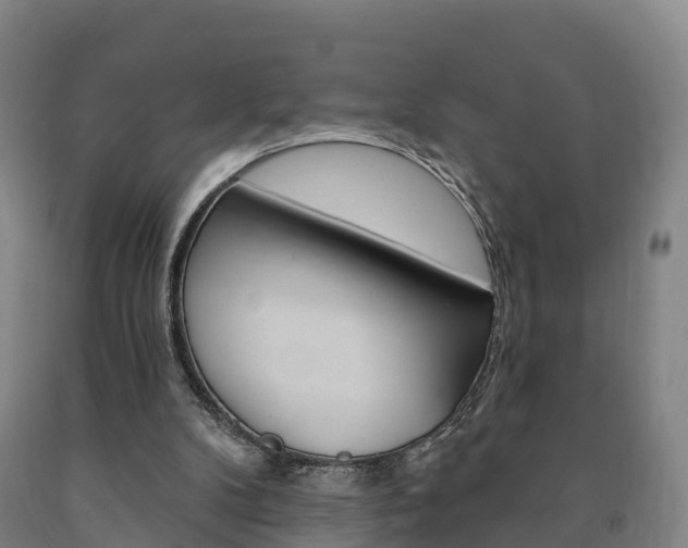 X0000090910104200707301041