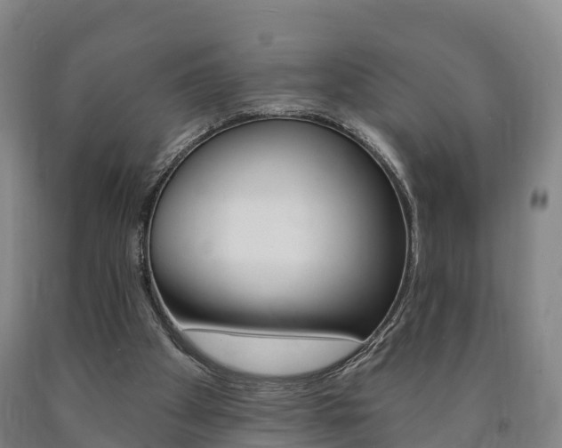 X0000090910105200707301041