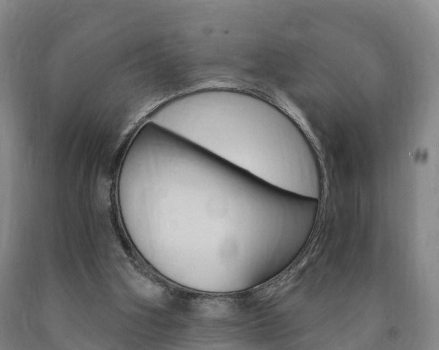 X0000090910106200707301041