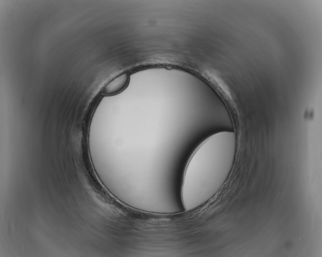 X0000090910108200707301041