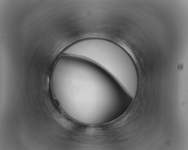 X0000090910109200707301041